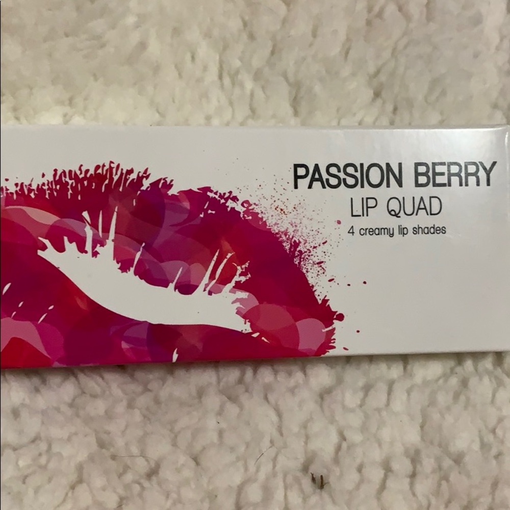 Coastal Scents Passion Berry Lip Quad